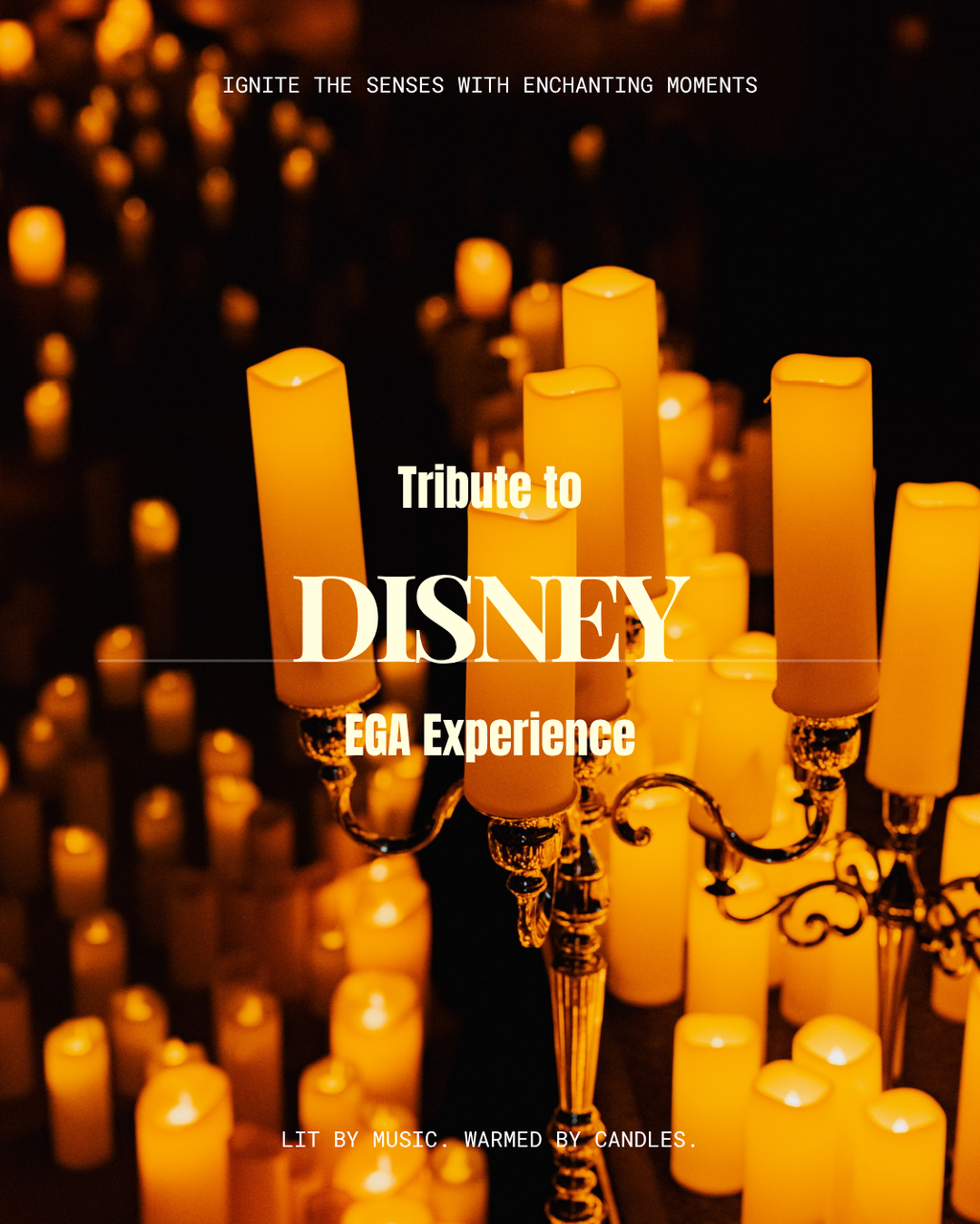 Disney Nights