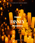 Disney Nights